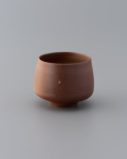 BIZEN Cup 3